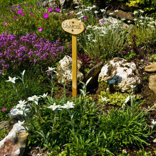 unterleegut ferienwohnungen foto c Hochkoenig Tourismus GmbH 018