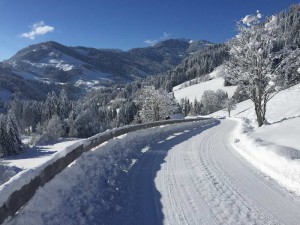 Ferienwohnung Mühlbach, Unterleegut Apartments, Mühlbach am HOCHKÖNIG