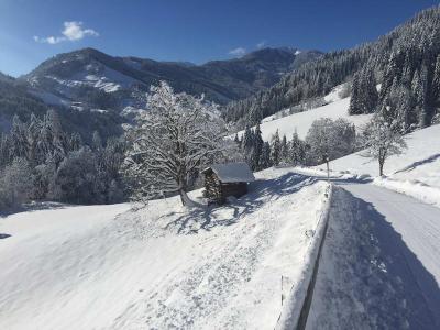 Ferienwohnung Mühlbach, Unterleegut Apartments, Mühlbach am HOCHKÖNIG IMG_0742          