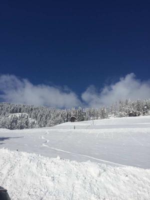 Ferienwohnung Mühlbach, Unterleegut Apartments, Mühlbach am HOCHKÖNIG IMG_0728          