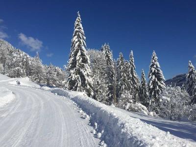Ferienwohnung Mühlbach, Unterleegut Apartments, Mühlbach am HOCHKÖNIG