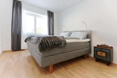 Ferienwohnung Mühlbach, Unterleegut Apartments, Mühlbach am HOCHKÖNIG 8N4A2600 DxO  