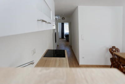 Ferienwohnung Mühlbach, Unterleegut Apartments, Mühlbach am HOCHKÖNIG 8N4A2603_DxO_raw                 