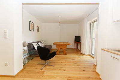 Ferienwohnung Mühlbach, Unterleegut Apartments, Mühlbach am HOCHKÖNIG unterlee ferienwohnungen  042 DxO   