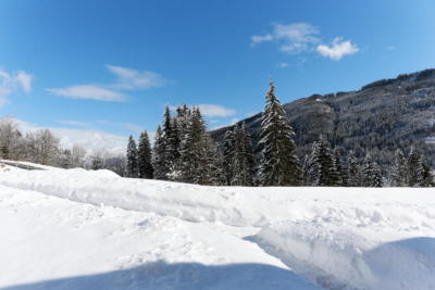 Ferienwohnung Mühlbach, Unterleegut Apartments, Mühlbach am HOCHKÖNIG 8N4A2583_DxO       