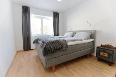 Ferienwohnung Mühlbach, Unterleegut Apartments, Mühlbach am HOCHKÖNIG 8N4A2601_DxO                 