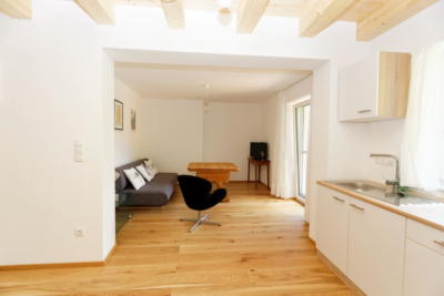 Ferienwohnung Mühlbach, Unterleegut Apartments, Mühlbach am HOCHKÖNIG unterlee ferienwohnungen  049 DxO 